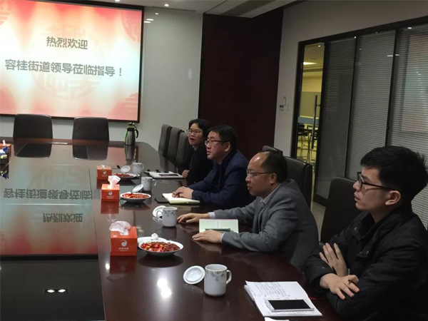 Long Zhongying, director of Ronggui Sub-district office of Shunde District, visited Huasheng Electric Appliance
